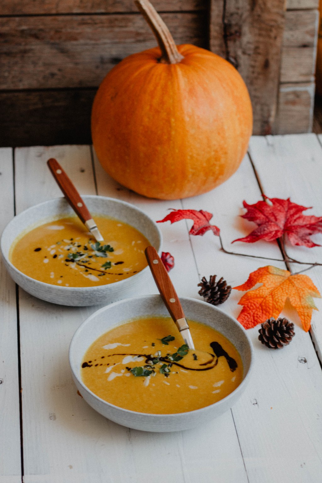 schnelle Kürbiscremesuppe