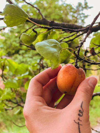 Foto 19.07.22, 20 46 05