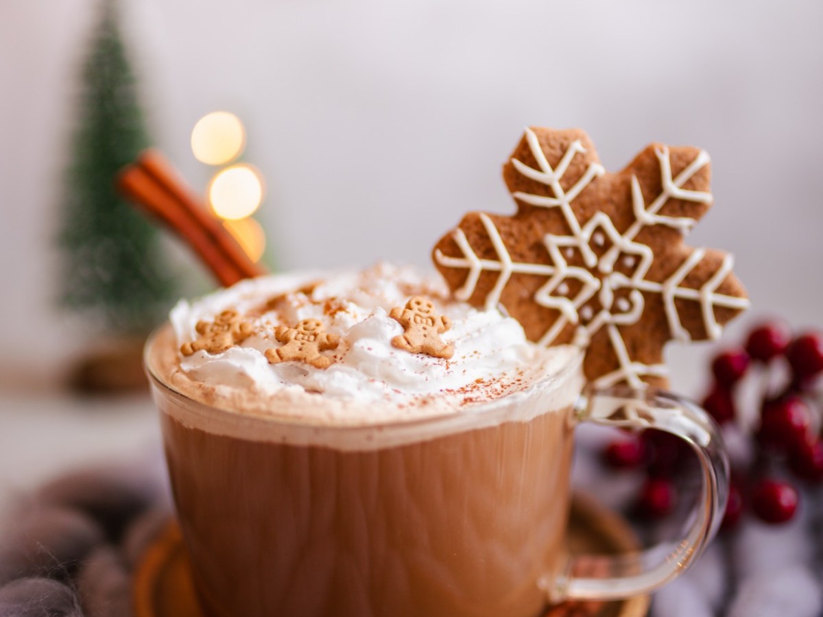 ✨ Lebkuchen-Kakao mit Rohkakao&nbsp;❄️🍫