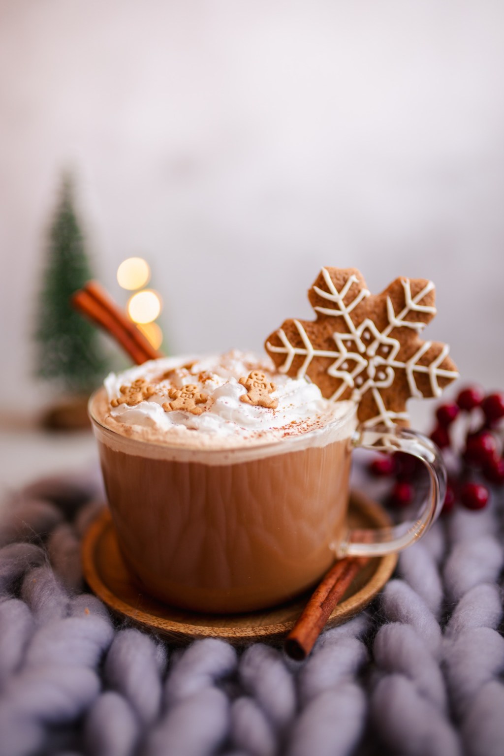 ✨ Lebkuchen-Kakao mit Rohkakao&nbsp;❄️🍫